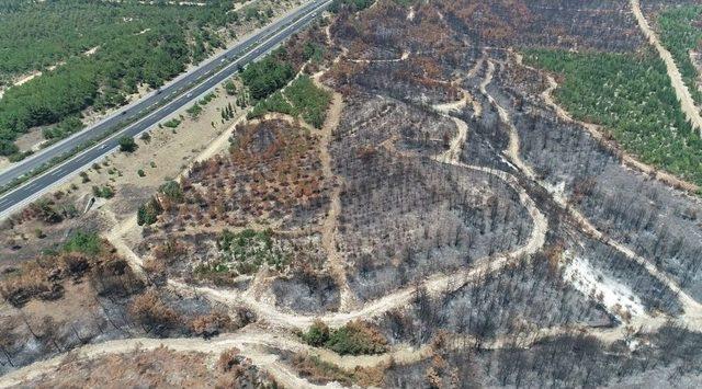 Buca’da Yanan Alan Drone İle Görüntülendi