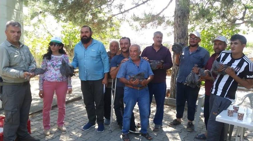 Kene İle M&uuml;cadele İ&ccedil;in K&ouml;yl&uuml;lere Be&ccedil; Tavuğu Dağıtıldı