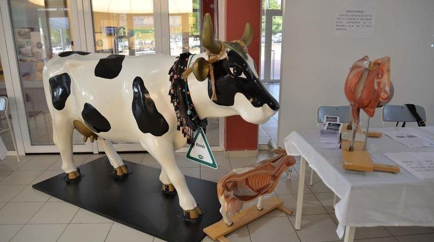 Veterinerliğin G&ouml;zdesi Uludağ &Uuml;niversitesi