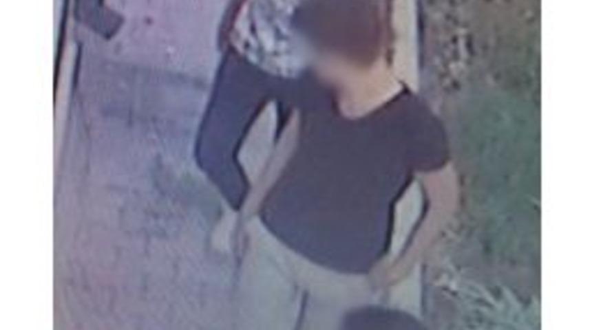 Okul Fareleri, Kıskıvrak Yakalandı