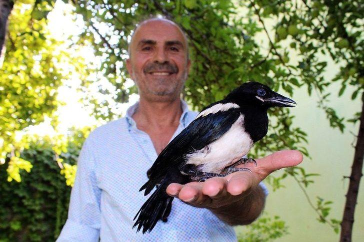 (özel) Vanlı İş Adamının Hayvan Sevgisi G2