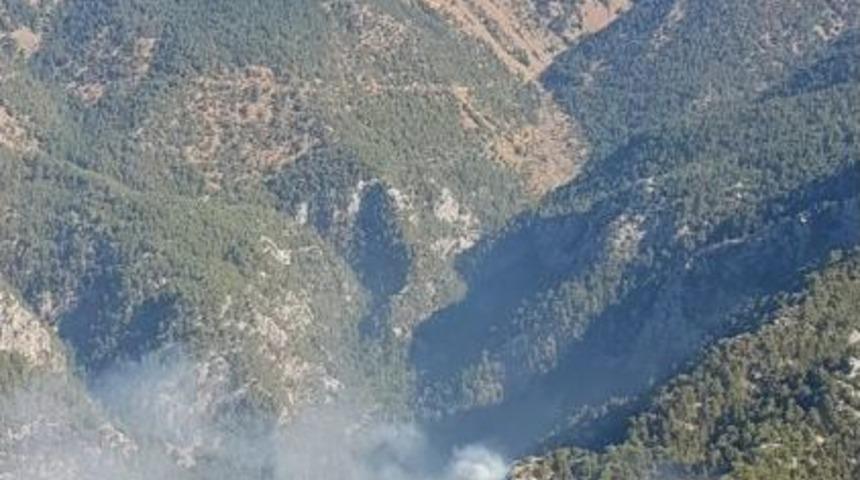 K&ouml;yceğiz&rsquo;de Orman Yangını