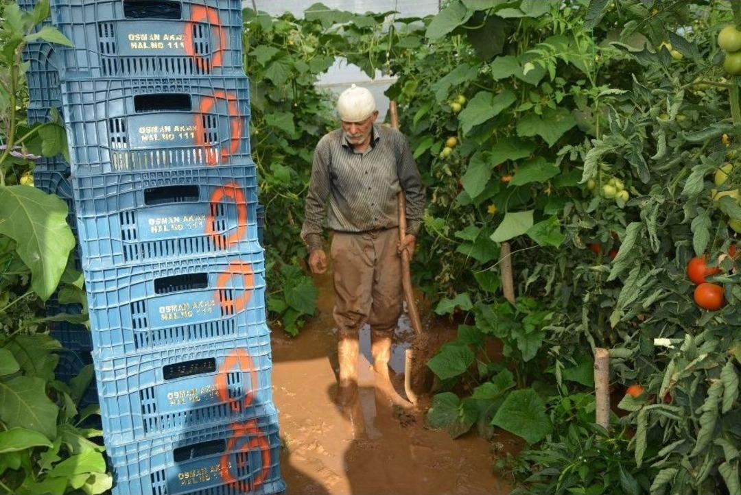 Sel Sonrası Seralara Giren &Uuml;reticileri G&ouml;rd&uuml;kleri Manzara &Uuml;zd&uuml;