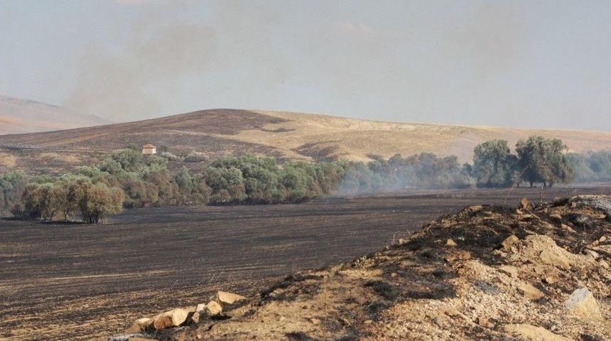 Kuru Otları Yakmak İsterken D&uuml;nyaları Yaktı