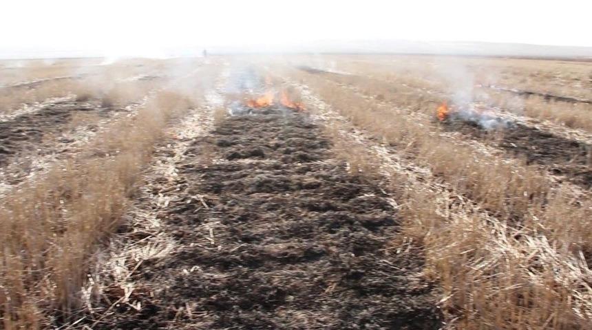 Son 3 Yılda Diyarbakır&rsquo;da &Ccedil;ift&ccedil;ilere 765 Bin Tl Ceza Kesildi