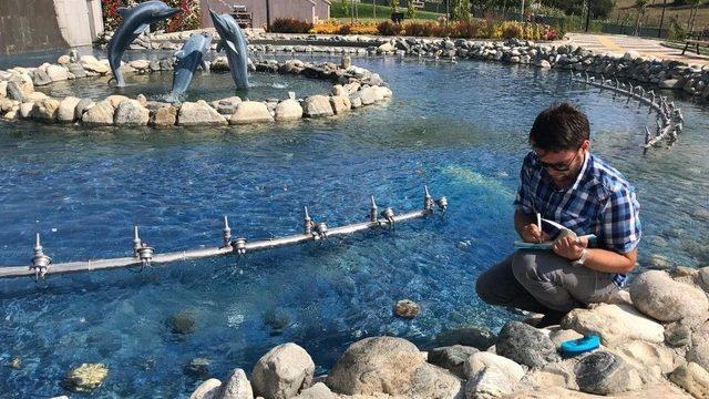 Bozüyük’te Su Havuzları Düzenli Kontrol Ediliyor