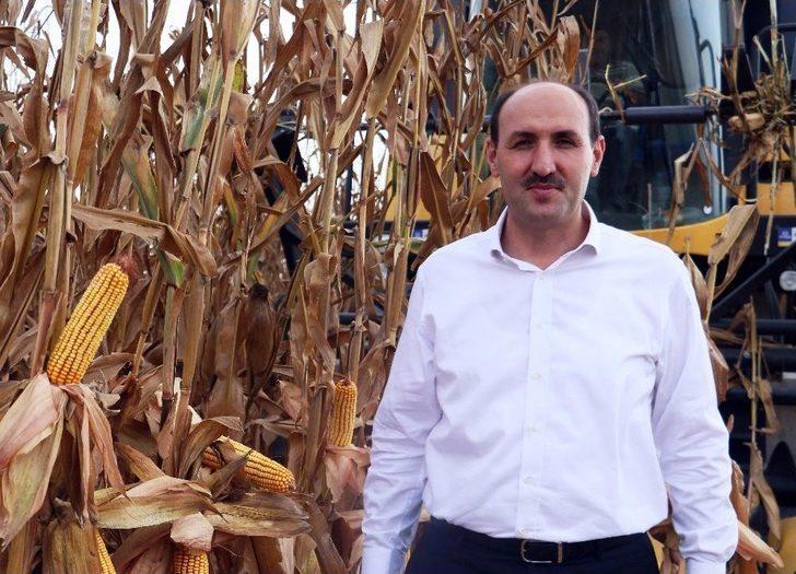 Türkiye’nin Mısır Üretiminde 1. Sırada Yer Alan Adana’da Hasat Başladı G2