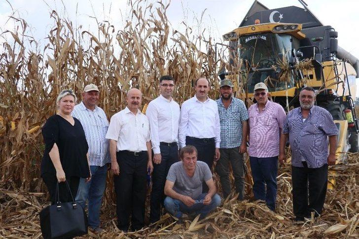 Türkiye’nin Mısır Üretiminde 1. Sırada Yer Alan Adana’da Hasat Başladı G5