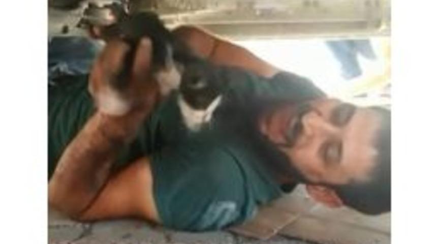 Otomobilin Motor Kısmına Sıkışan Kediyi Vatandaş Kurtardı