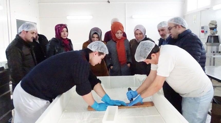 Hibe Desteği Alan S&uuml;t &Uuml;r&uuml;nleri Tesislerinde İnceleme