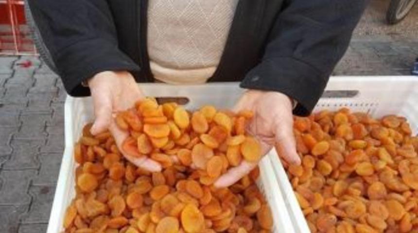 Kayısıya Sıkı Takip