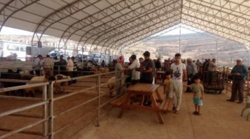 Kurban Alım Ve Satımı Yeni Hayvan Pazarında Yapılacak