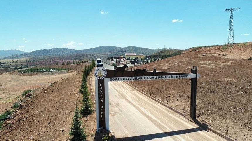 5 Yıldızlı Hayvan Barınağı A&ccedil;ılıyor
