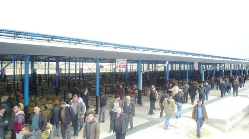 &Ccedil;ivril Hayvan Pazar Yeri Kurbana Hazır