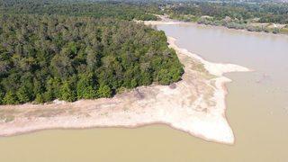 Sinop’ta Onlarca Yelkovan Kuşu Telef Oldu