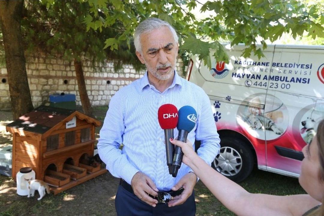 Kağıthane&rsquo;de Aşırı Sıcaktan Etkilenen Hayvanlar İ&ccedil;in Ambulans Hizmeti