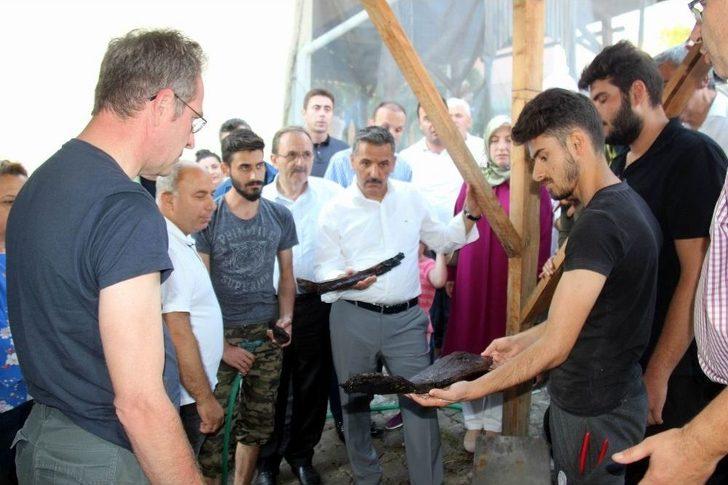 Tarihi Kazıda 3 Bin Yıllık Fındık Bulundu G3