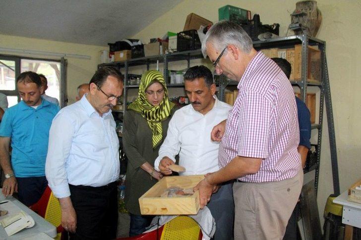 Tarihi Kazıda 3 Bin Yıllık Fındık Bulundu G4