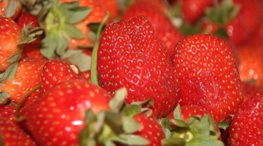 Yaz Meyvesi &Ccedil;ileğin Fiyatı El Yakıyor