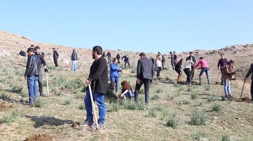 Geleceğin İ&ccedil;in Bir Fidan Da Sen Dik