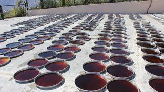 Tut İlçesinin Ekonomisini Dolu Vurdu