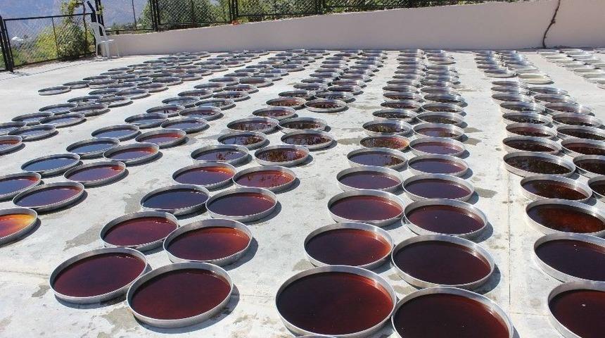 Tut İlçesinin Ekonomisini Dolu Vurdu