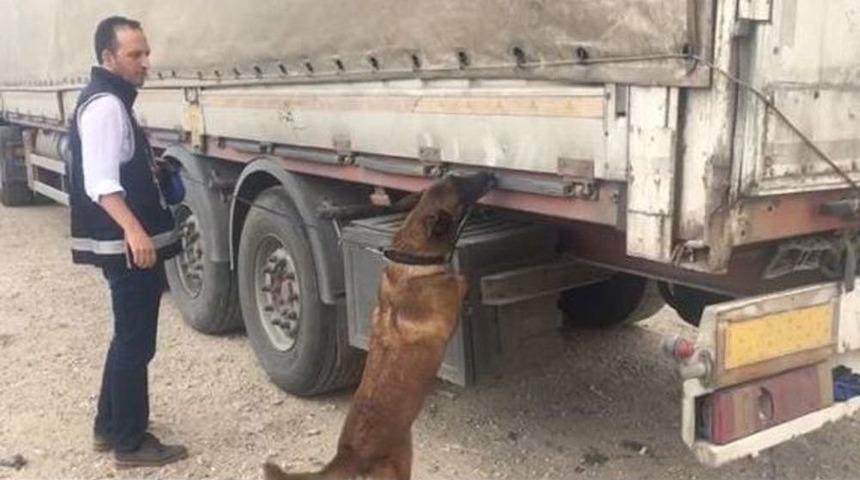 Saman Arasına Saklanan Ka&ccedil;ak Sigarayı "tiryaki" Buldu