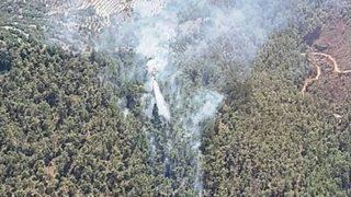 Bozdoğan’daki Orman Yangını Kontrol Altına Alındı