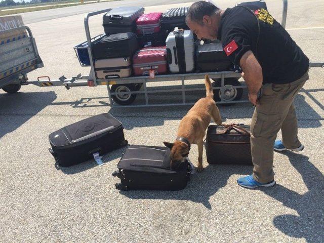 Narkotik Köpeği ’cankız’ Havaalanında Uyuşturucuya Göz Açtırmıyor 1