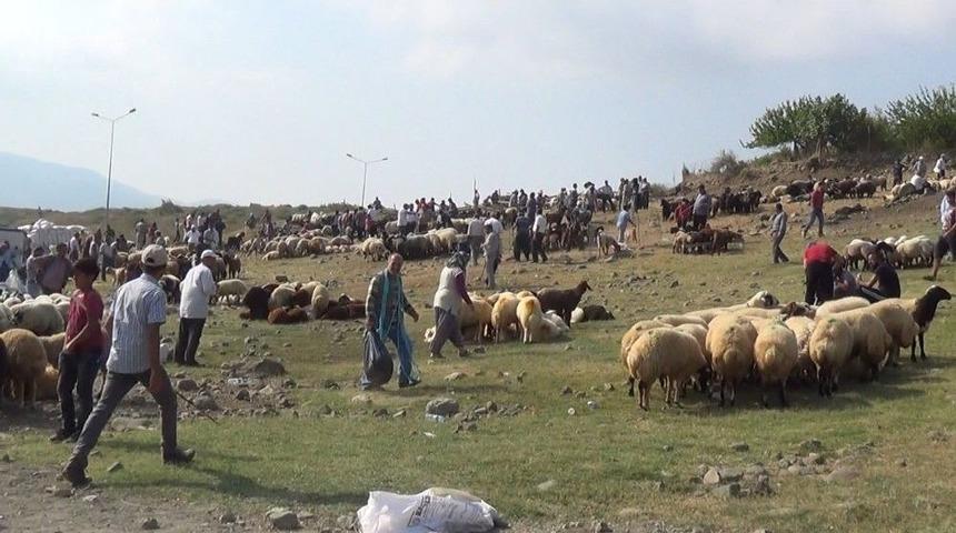 G&ouml;z&uuml;nde, Burnunda Akıntı Olan Kurbanlık Almayın