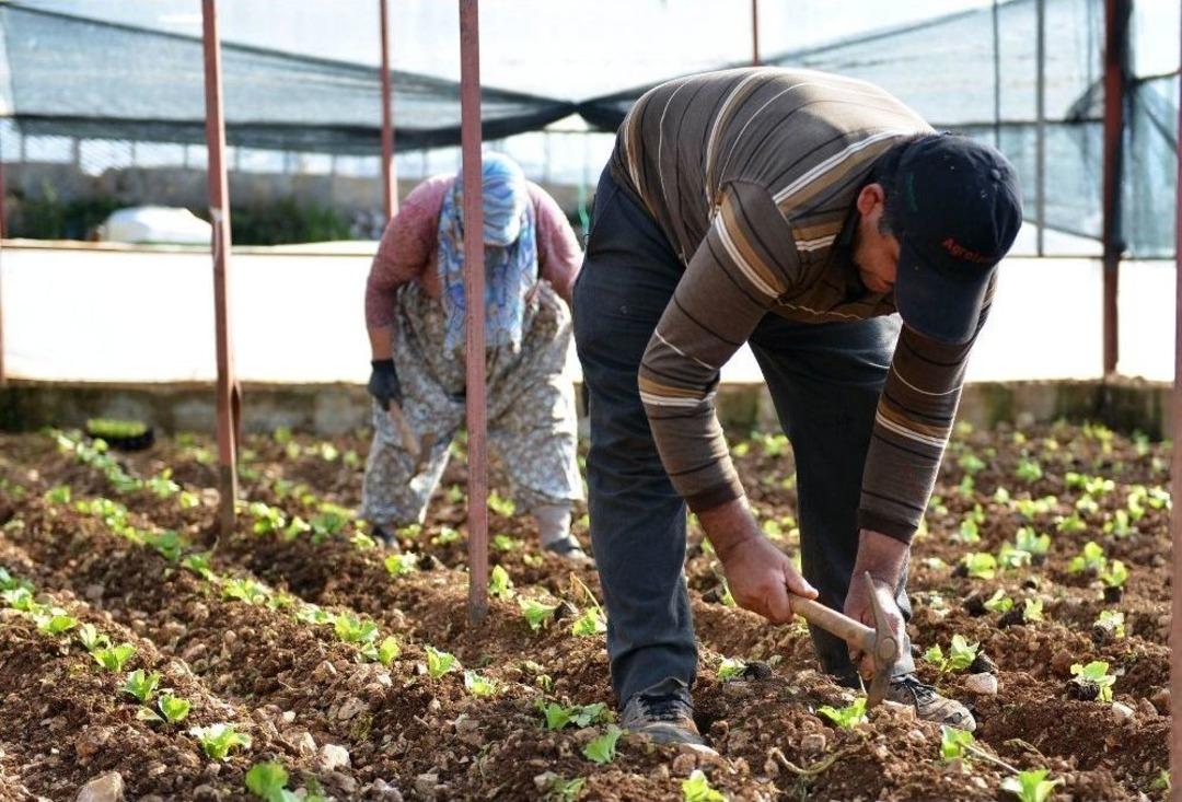 Antalya B&uuml;y&uuml;kşehir Belediyesi, Tarıma 4 Yılda 210 Milyondan Fazla Destek Sağladı