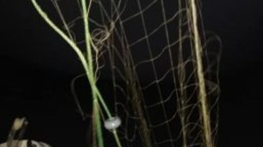 Eğirdir G&ouml;l&uuml;&rsquo;nde 600 Metrelik Ka&ccedil;ak Ağ Ele Ge&ccedil;irildi