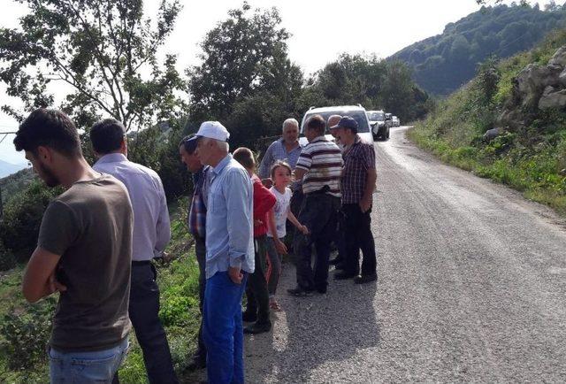 Sakarya’da Pat Pat Şarampole Yuvarlandı: 3 Yaralı