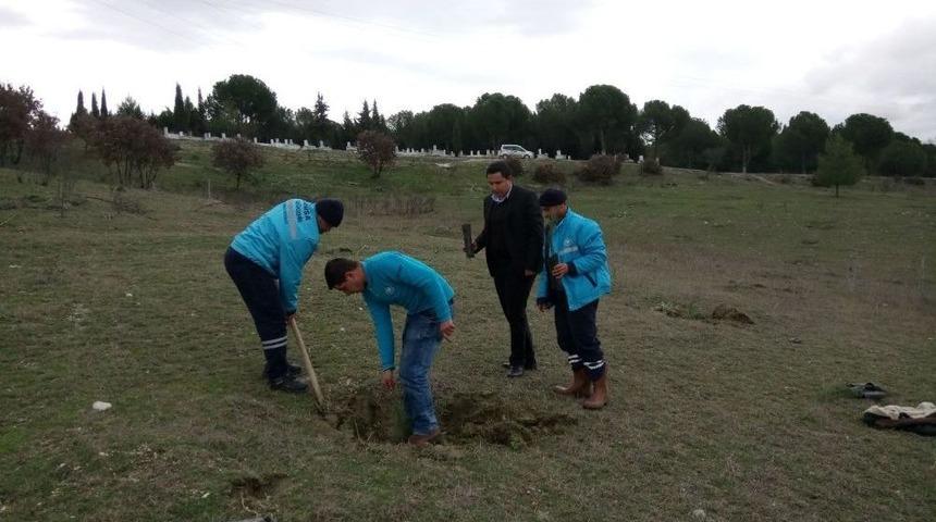 K&ouml;pr&uuml;başı Mezarlığı Ağa&ccedil;landırılıyor