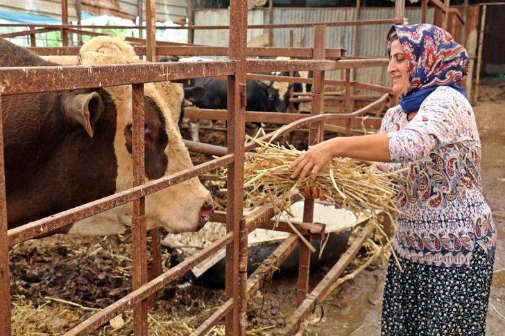 4 Bilezikle Başladı, Kurban Bayramı Öncesi Servetine Servet Kattı G2
