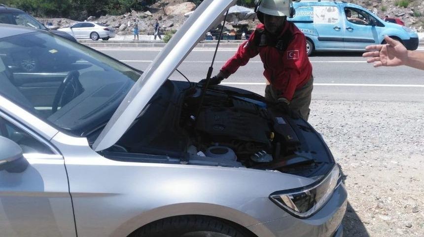 Ara&ccedil;ta Yılan Paniği