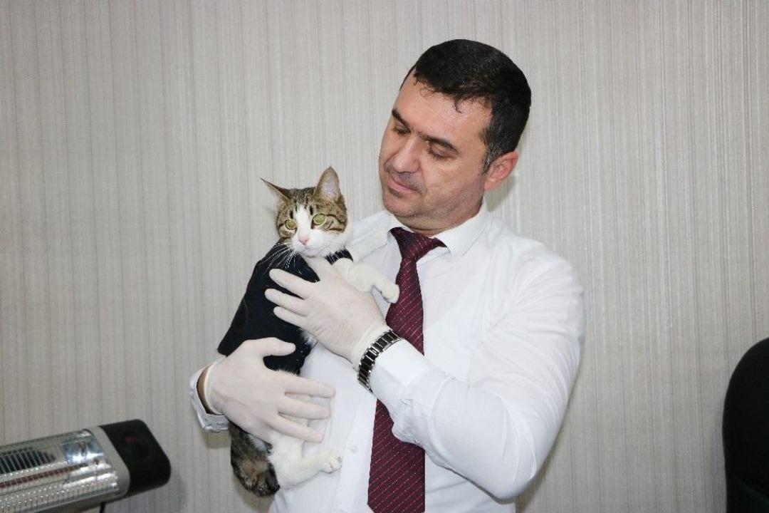 Başbakan Yıldırım&rsquo;ın G&uuml;ndemindeki Veteriner Hekim Konuştu