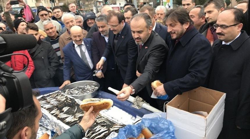 Bursalılar Hamsiye Doydu