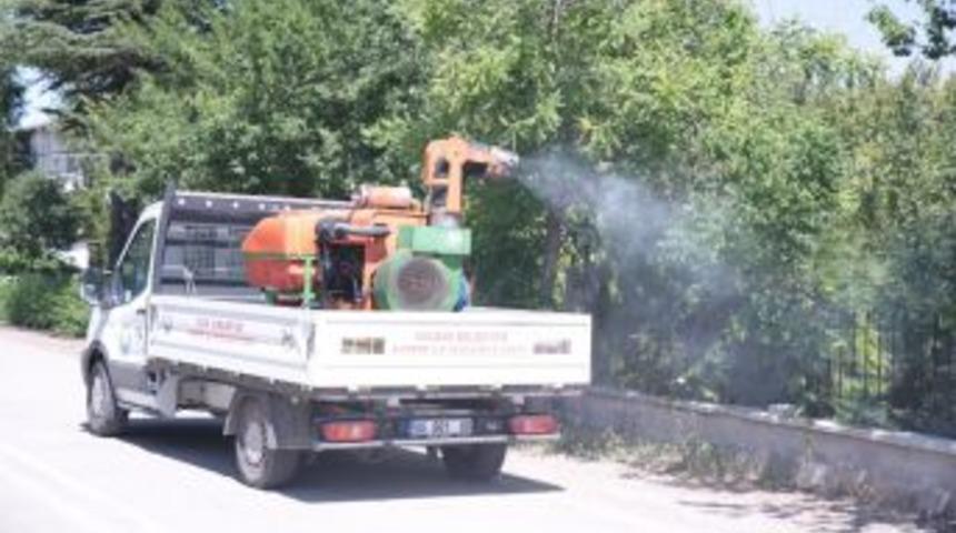 G&ouml;lbaşı Belediyesi İla&ccedil;lama &Ccedil;alışmalarına Hız Verdi