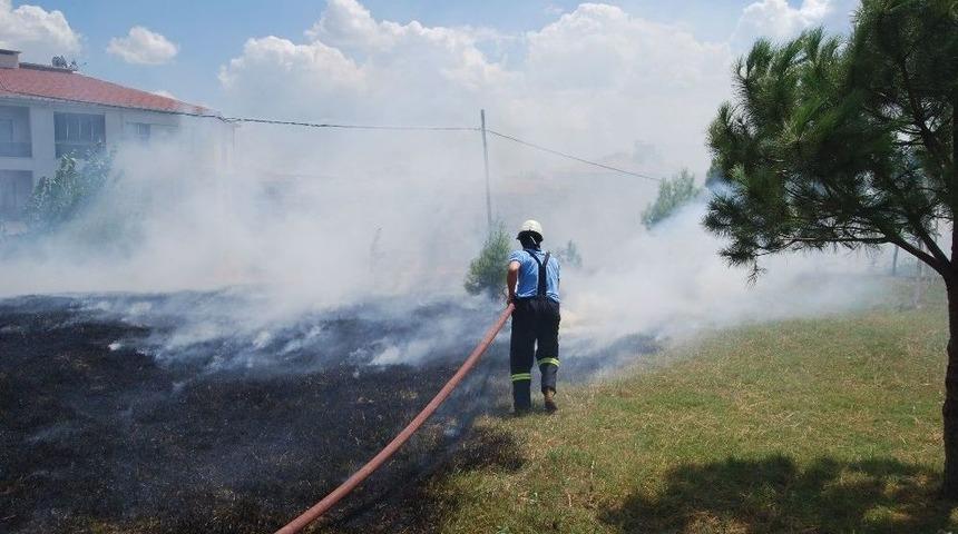 Yılandan Kurtulmak İsterken Okulu Yakacaktı