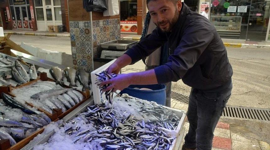 Yerli Hamsi Tezgahlara D&uuml;şt&uuml;