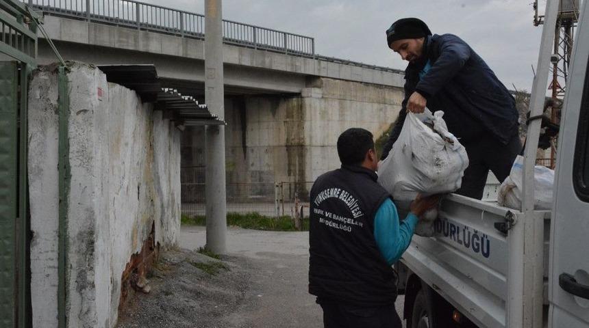 Budanan Ağa&ccedil;lardan Elde Edilen Odunlar İhtiya&ccedil; Sahiplerine Dağıtılıyor