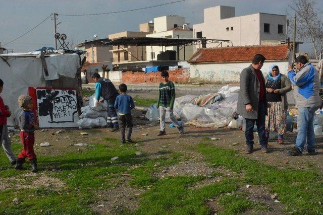 Budanan Ağaçlardan Elde Edilen Odunlar İhtiyaç Sahiplerine Dağıtılıyor