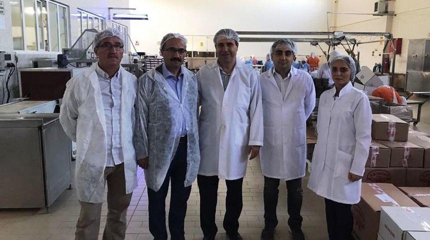 Kestane Tarımına Vekil Desteği