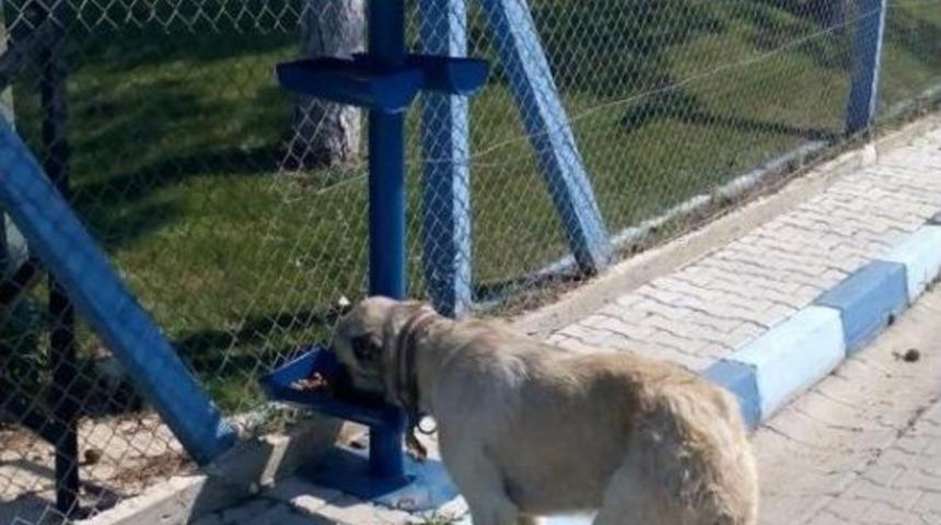 Teski &Ccedil;alışanlarından &Ouml;rnek Davranış