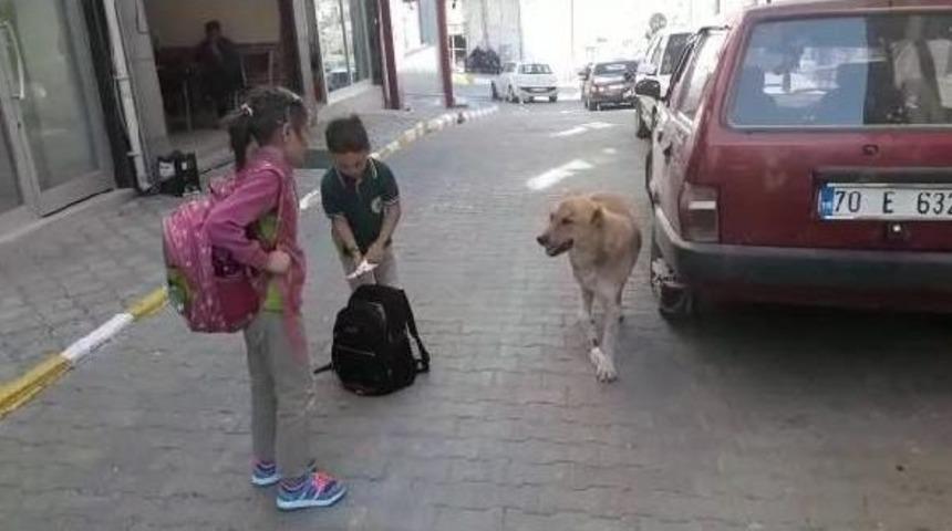 Yaralı K&ouml;peğe &Ccedil;ocuk Şefkati