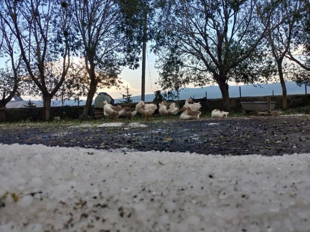 Ardahan&rsquo;da Dolu Etkili Oldu