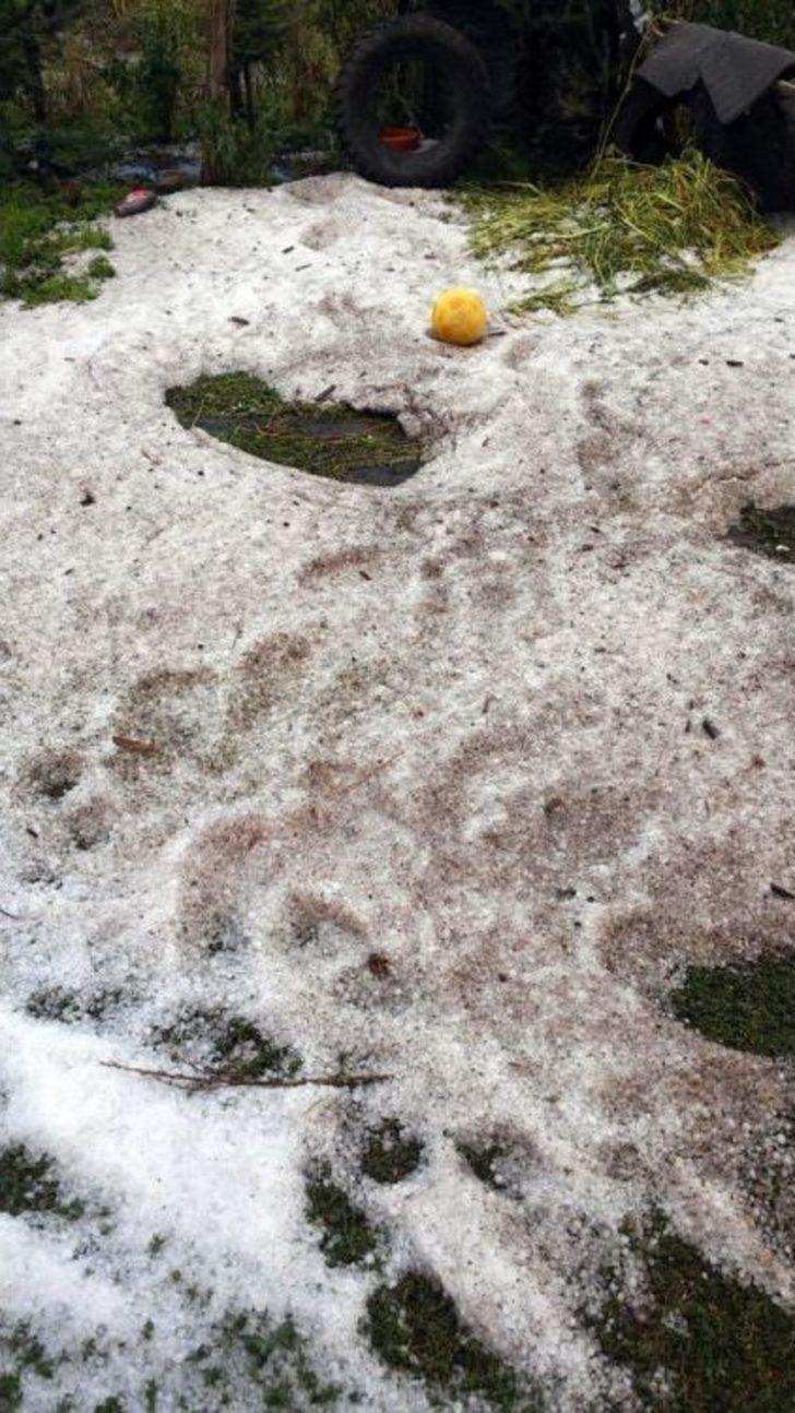 Ardahan’da Dolu Etkili Oldu G3