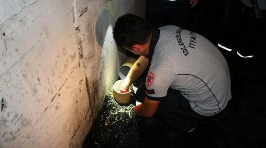 Kanalizasyon Borusunda Mahsur Kalan Kedi Kurtarıldı