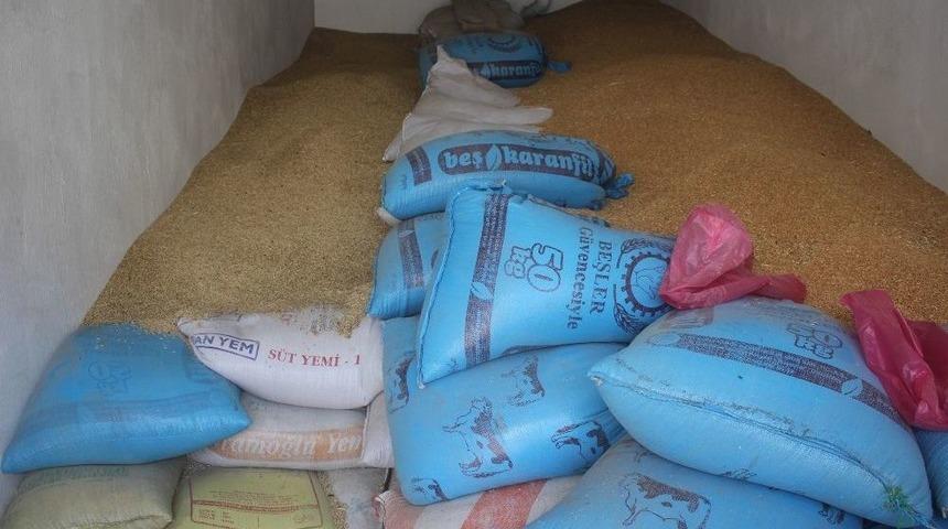 Ağrı’da Arpa Ve Buğday Satışları Başladı